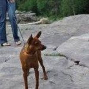 Meet your Posher, Anne